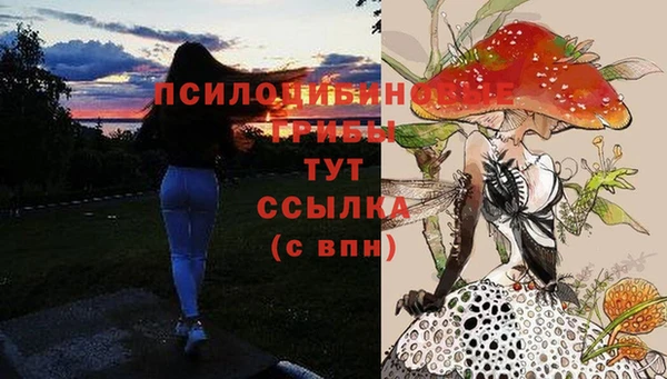 ГАЛЛЮЦИНОГЕННЫЕ ГРИБЫ Белокуриха