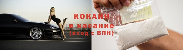 ГАЛЛЮЦИНОГЕННЫЕ ГРИБЫ Белокуриха