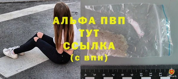 ГАЛЛЮЦИНОГЕННЫЕ ГРИБЫ Белокуриха