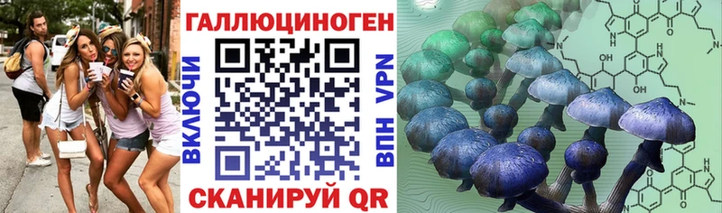 Псилоцибиновые грибы Psilocybe  мега зеркало  Верхнеуральск 